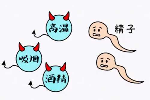 备孕男不能穿哪些衣服-第1张图片