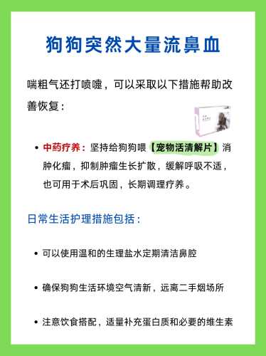 狗生产后喘粗气是怎么回事-第1张图片
