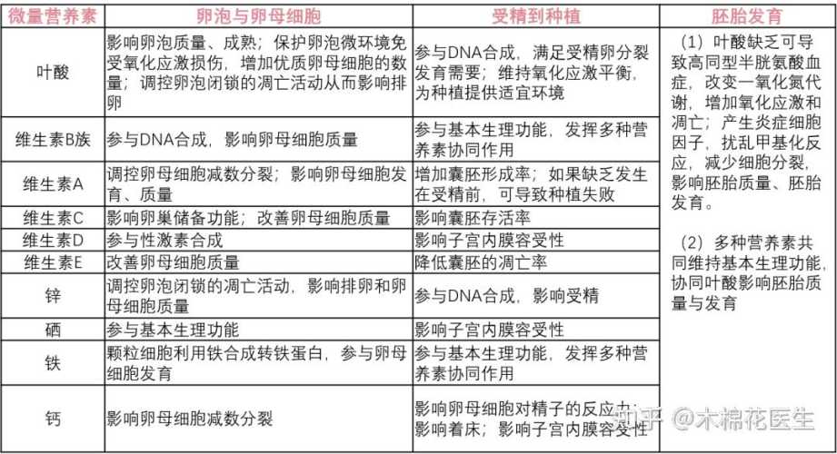 怎么做试管婴儿-第1张图片
