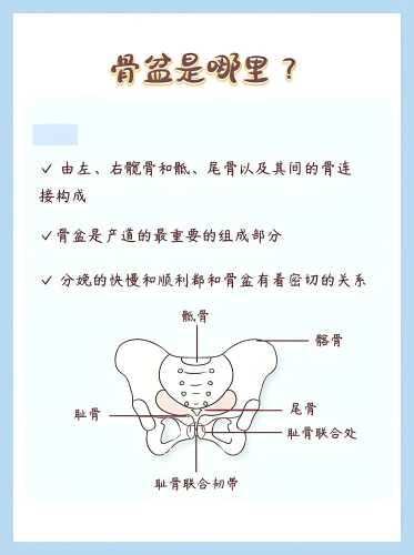产后如何有效恢复盆骨-第1张图片