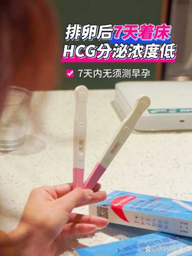 备孕能不能玩电动棒-第1张图片