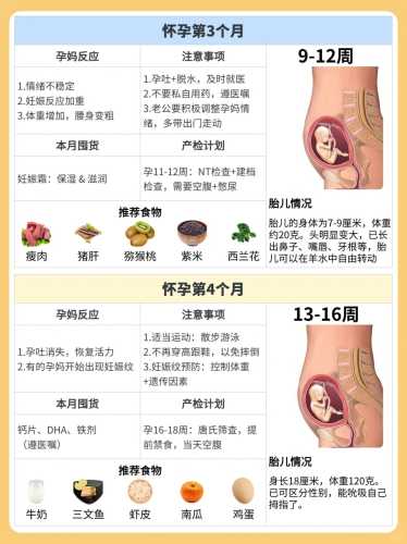 备孕和怀孕能不能吃羊肉-第1张图片