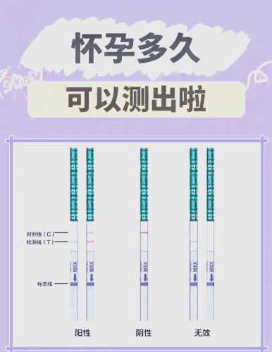 同房后多久能测出怀孕-第1张图片