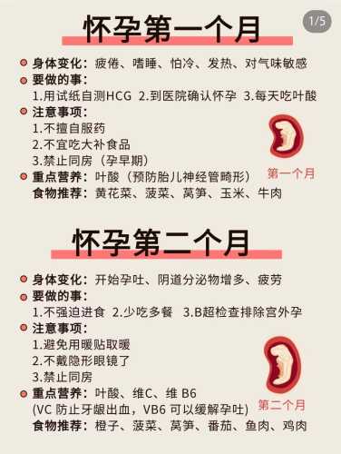 为什么备孕要吃叶酸片-第1张图片