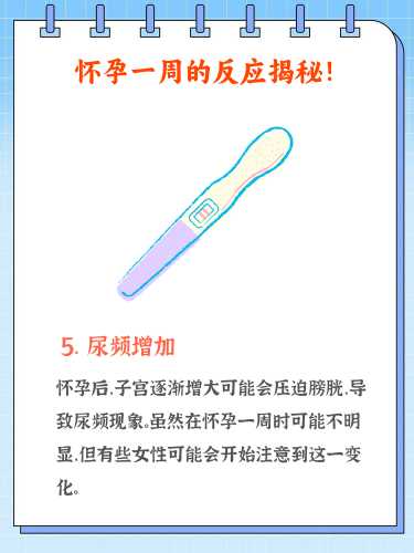 真实孕反症状都有哪些呢-第1张图片