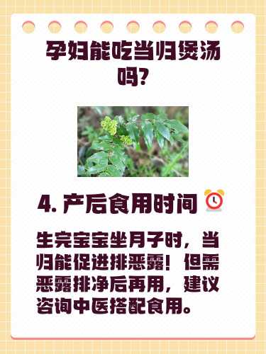备孕能喝当归补血吗-第1张图片