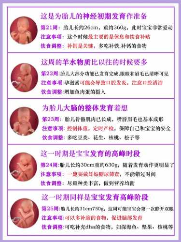 如何完美胎教40周-第1张图片