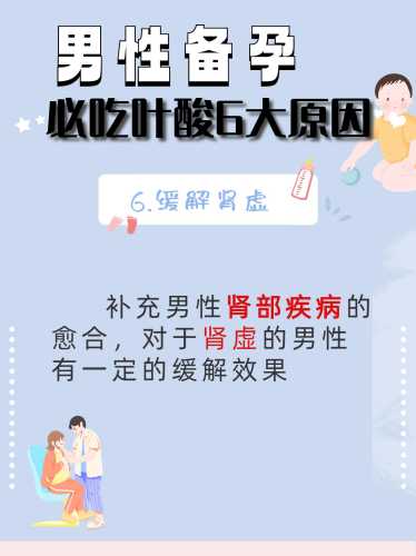 男性备孕需要补叶酸吗-第1张图片