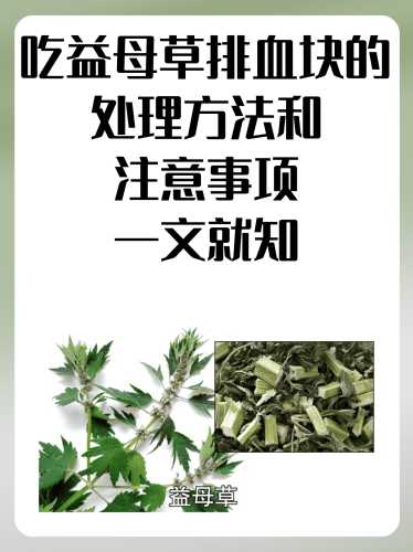 男性备孕能吃益母草吗-第1张图片