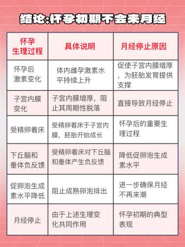 怀孕多久能测出宫内宫外-第1张图片