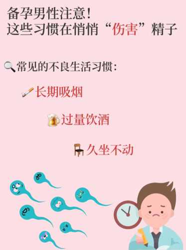 男性备孕该注意什么-第1张图片