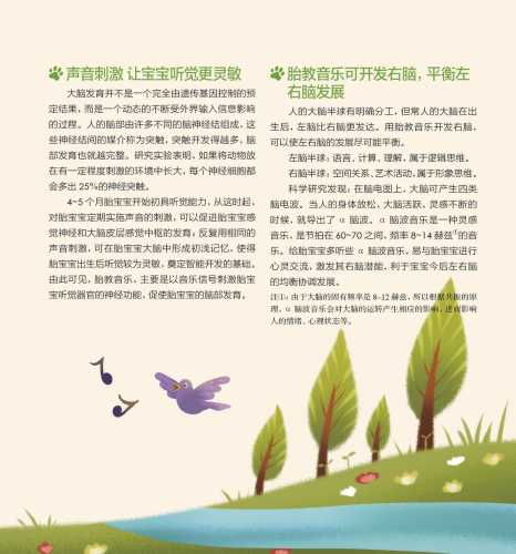 胎教鸡真的能提升鸡的品质吗-第1张图片