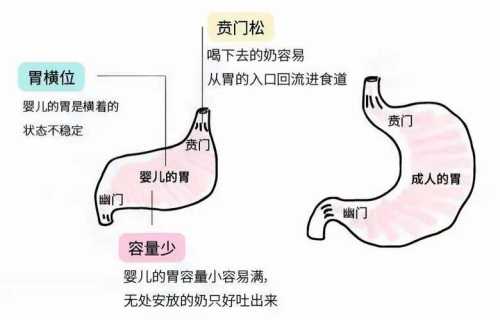 新生儿经常吐奶怎么办-第1张图片