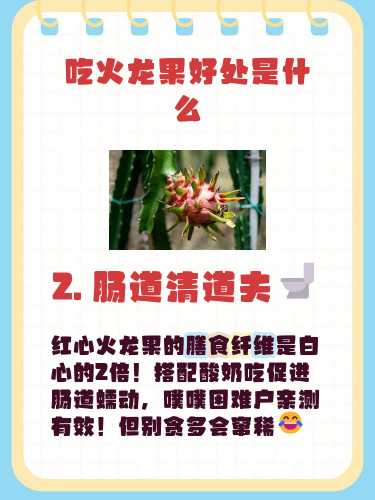 月子里能不能吃火龙果-第1张图片