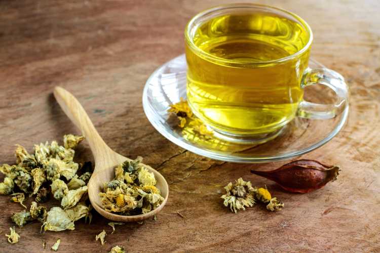 男性备孕可以喝菊花茶吗-第1张图片