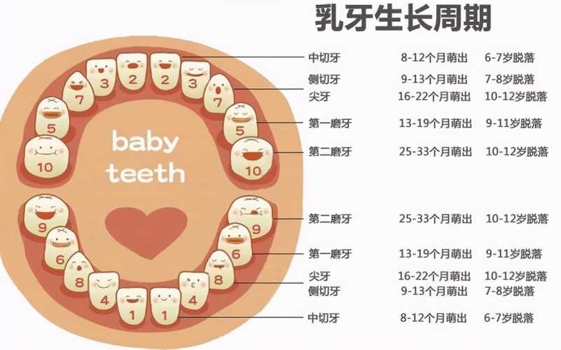 婴儿多大开始长牙-第1张图片