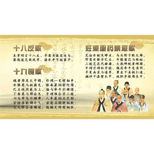 怀孕几月会有孕反-第1张图片