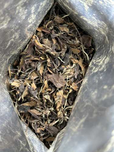 备孕男性可以喝白茶吗-第1张图片