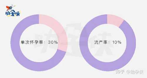 正在备孕需要找工作吗-第1张图片