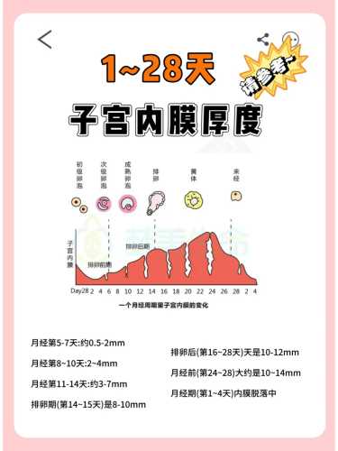 子宫内膜薄能怀孕吗-第1张图片