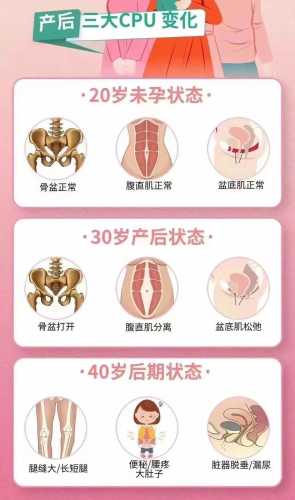 产后耻骨联合分离多久恢复-第1张图片