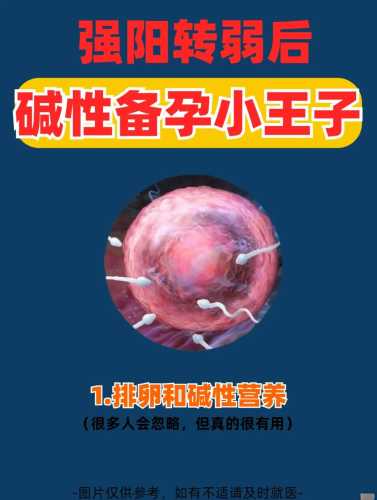 11月份备孕如何才能怀上男宝-第1张图片