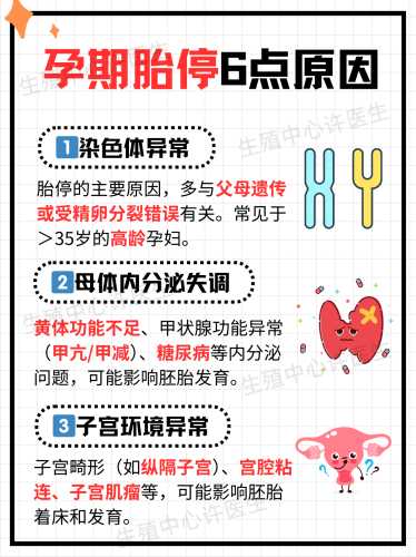 备孕吃叶酸易胎停吗-第1张图片