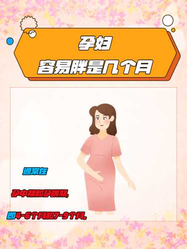 孕中期为何还有孕反-第1张图片