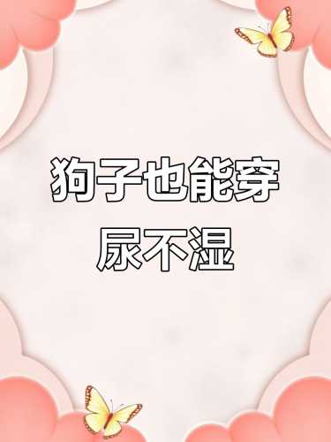 狗尿不湿小了怎么办-第1张图片