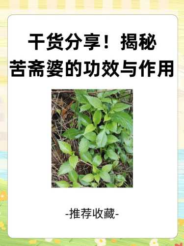 产后调理用什么中药-第1张图片
