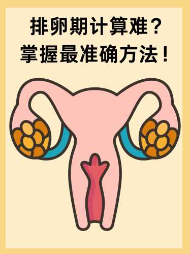 女性备孕太难怎么办-第1张图片