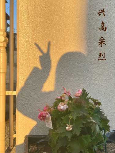 如何用词语形容婴儿天真的笑-第1张图片
