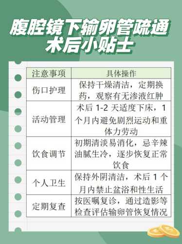 输卵管妊娠后怎么备孕-第1张图片