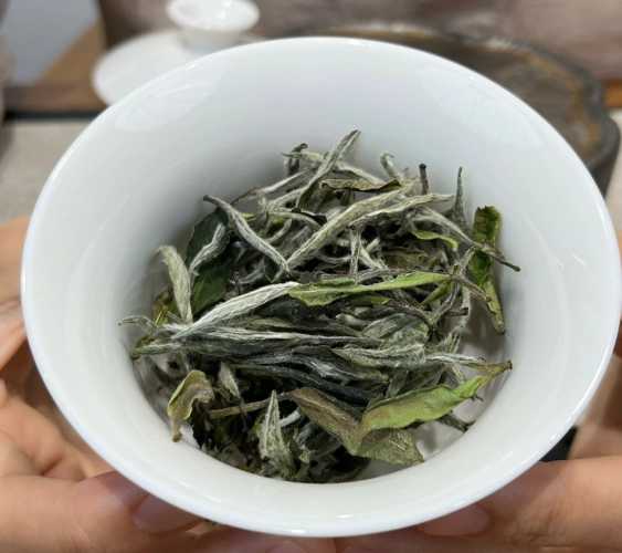 备孕男能喝白茶吗-第1张图片