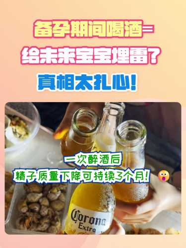 喝酒备孕成功率高吗-第1张图片