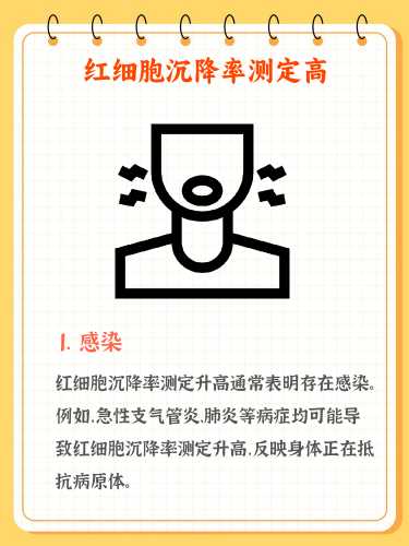 婴儿红细胞有什么特点-第1张图片
