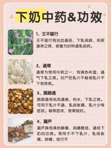 产后下奶的中药配方有哪些-第1张图片