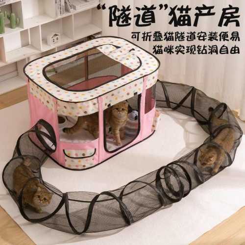 小猫咪待产包怎么选-第1张图片