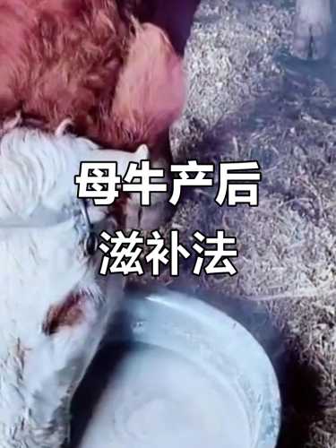 母牛产后发烧怎么办-第1张图片