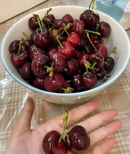 流产后可不可以吃樱桃-第1张图片