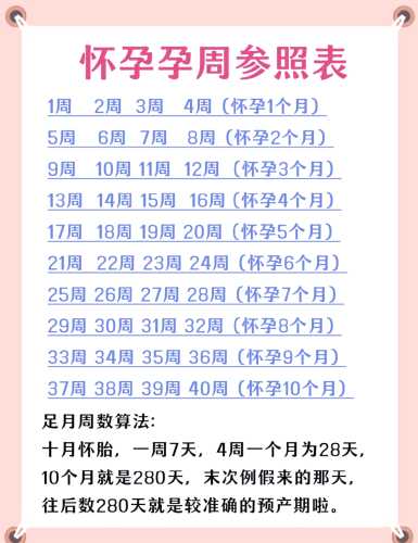 17周孕反还在正常吗-第1张图片