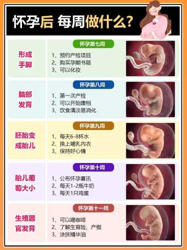 孕四周有哪些明显孕反表现-第1张图片