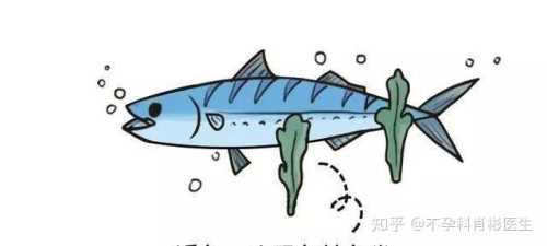 备孕梦到两只昆虫打架啥寓意-第1张图片