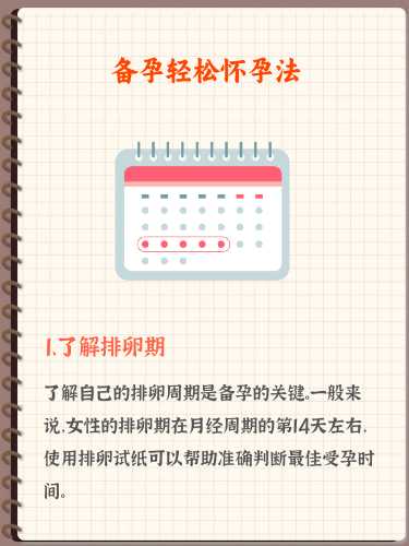 备孕排卵期安排几天最佳-第1张图片
