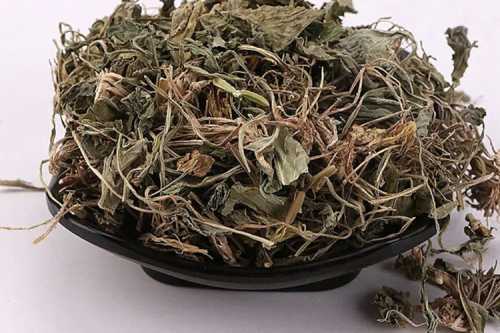 备孕能用紫花地丁吗-第1张图片