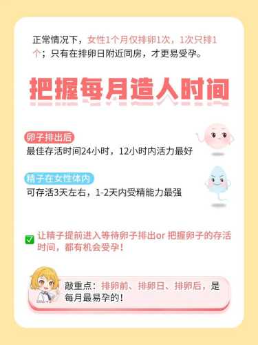 备孕需要每天都同房吗-第1张图片