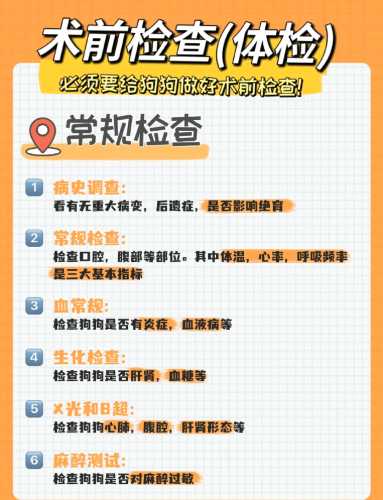 狗狗生产后如何护理-第1张图片