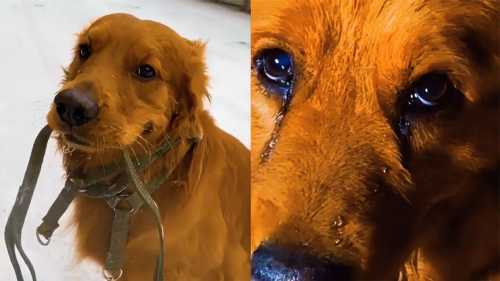 婴儿嘴唇为何发抖-第1张图片