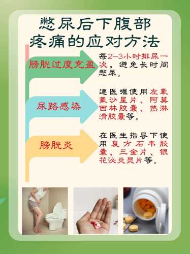 备孕膀胱炎该怎么办-第1张图片