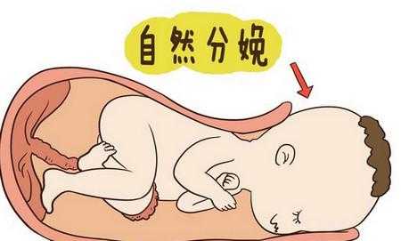 马伊俐顺产还是剖腹产-第1张图片